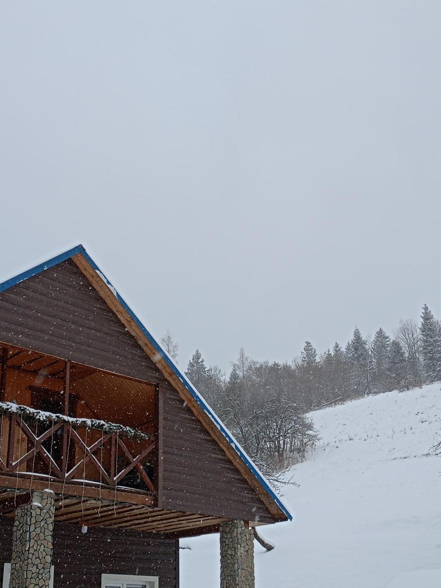 Villa "Відпочинок В Карпатах" à Izki Extérieur photo
