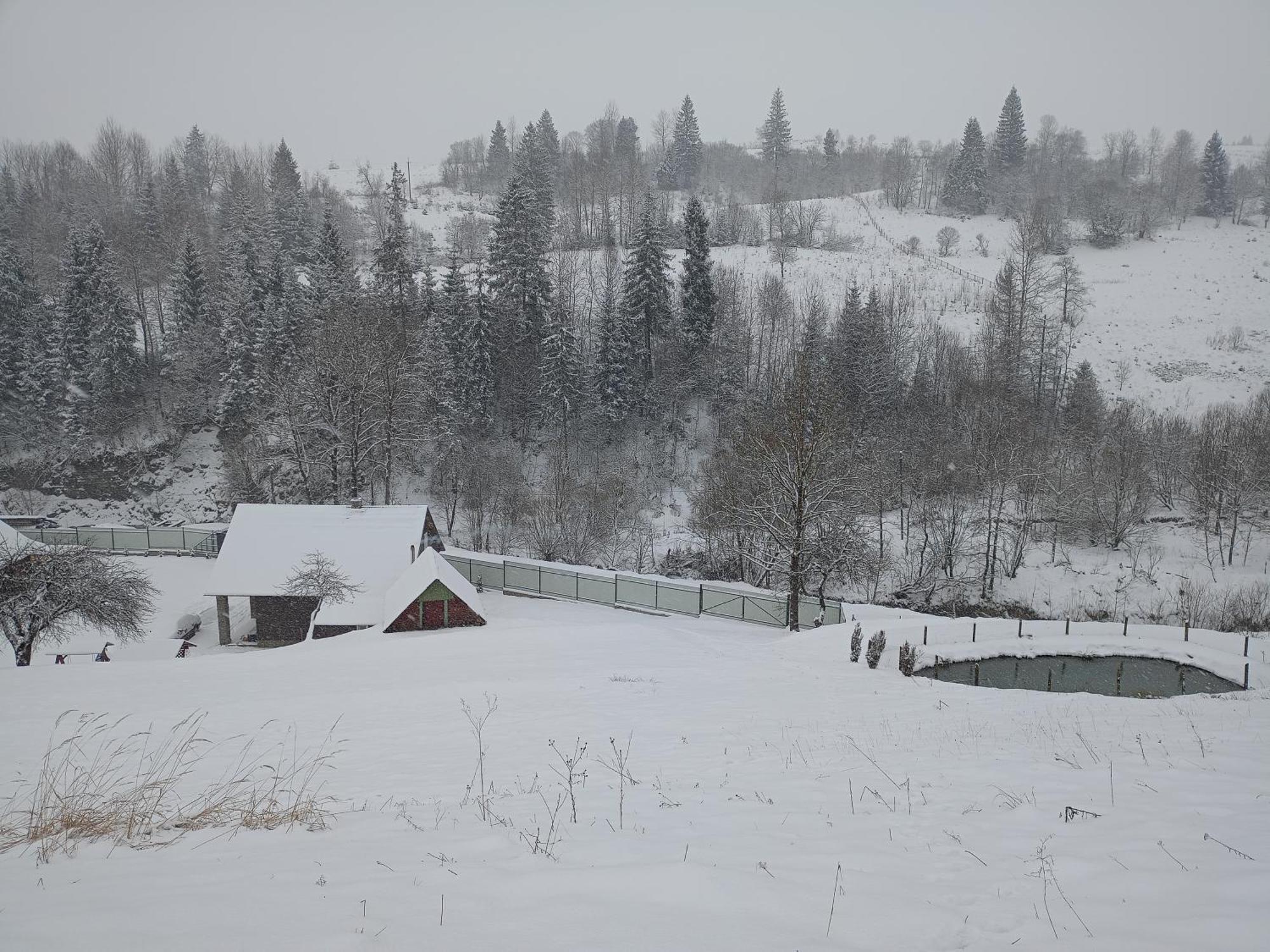 Villa "Відпочинок В Карпатах" à Izki Chambre photo